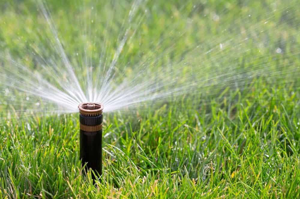 Sprinkler System Startups image