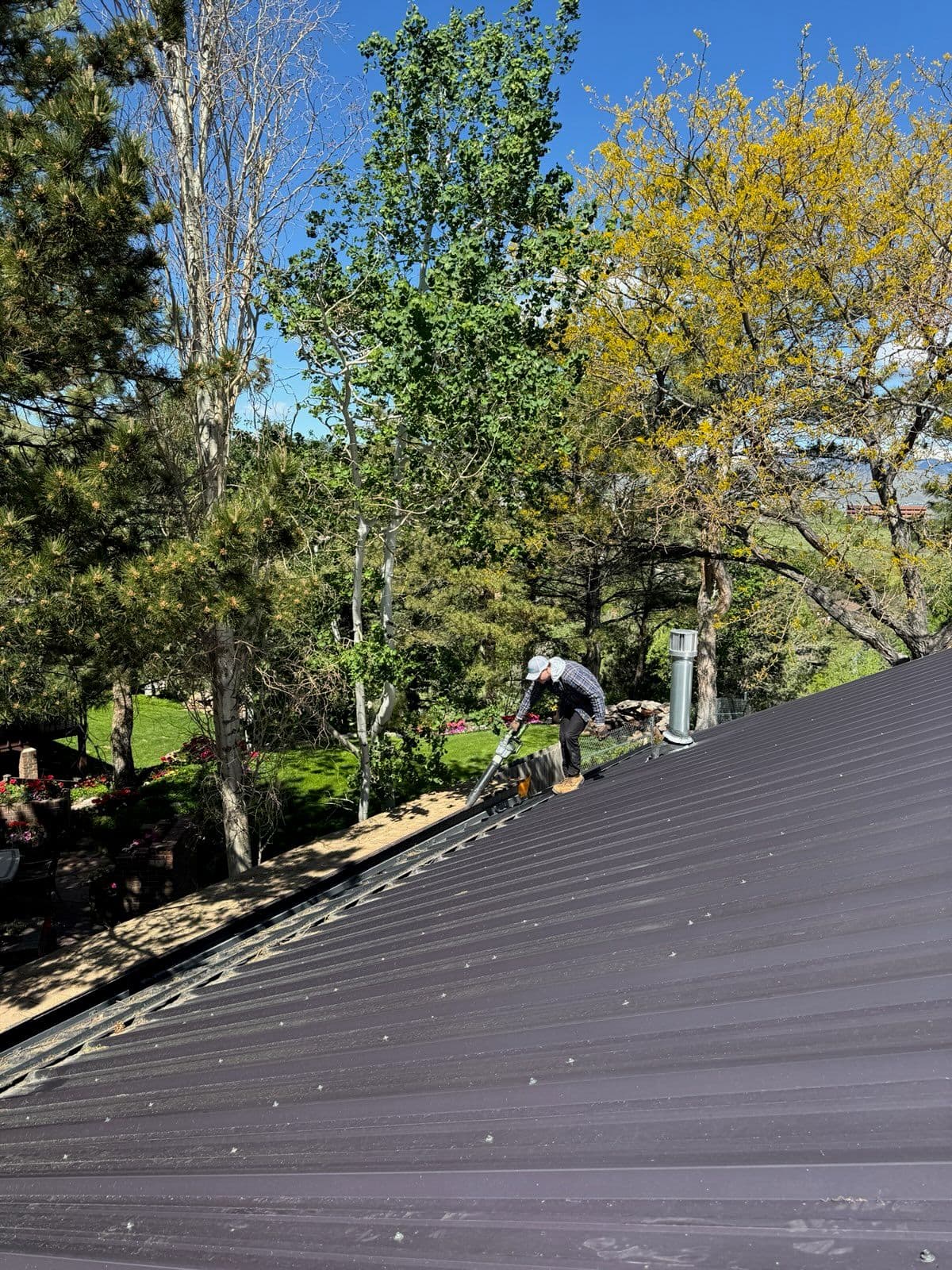 Superior Gutter Cleaning in Lush Environments image