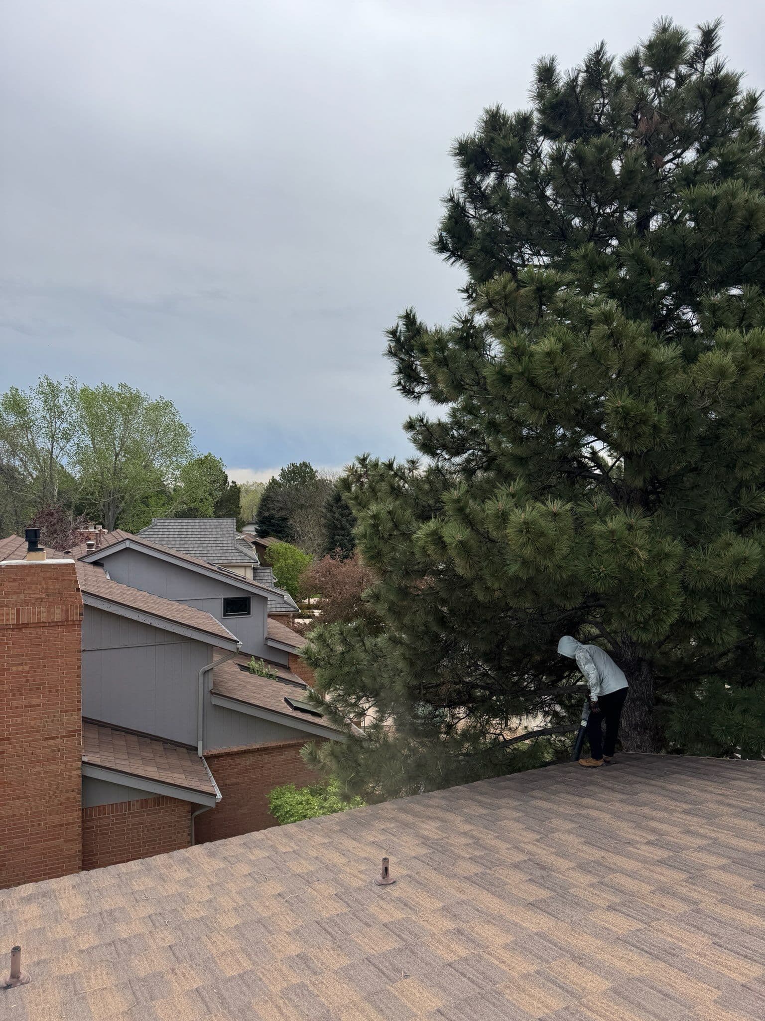 Professional Gutter Cleaning for Home Safety image